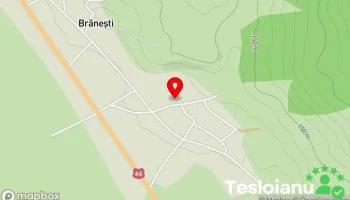 Braneşti - Braneşti
