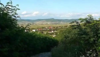 Braniştea - Braniştea