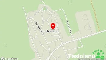 Braniștea - Braniștea