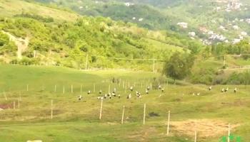 Breaza de Jos - Breaza De Jos