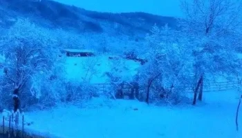 Brănești - Brănești