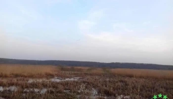Brăniștari - Brăniștari