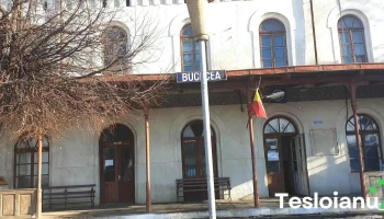 Bucecea - Bucecea