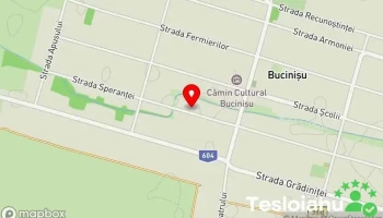 Bucinișu - Bucinișu