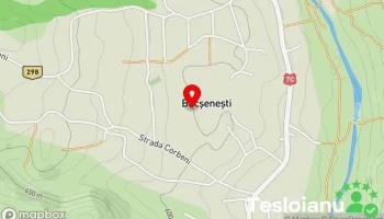 Bucșenești - Bucșenești