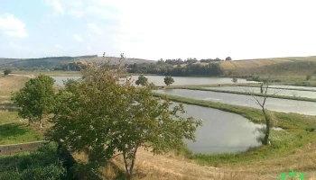 Budeşti - Budeşti