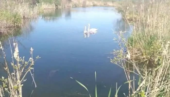 Budești - Budești