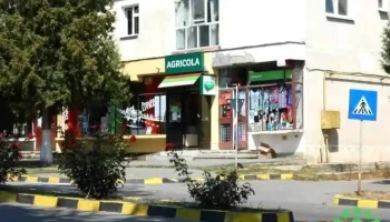 Buhuși - Buhuși