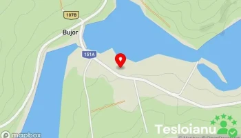 Bujor - Bujor