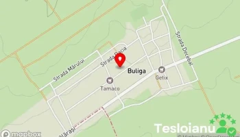 Buliga - Buliga