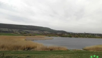 Buneşti - Buneşti