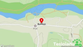 Bunteşti - Bunteşti