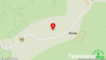 Bușag - Bușag