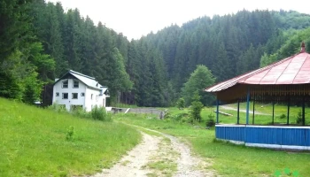 Băiuț - Băiuț