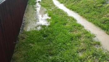 Băiţa de sub Codru - Băiţa De Sub Codru