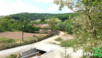 Băjești - Băjești