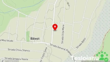Bălești - Bălești