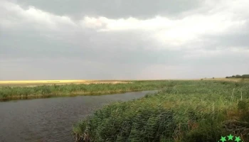 Bălăceanu - Bălăceanu