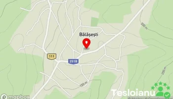 Bălășești - Bălășești