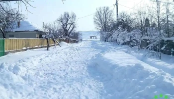 Băneasa - Băneasa