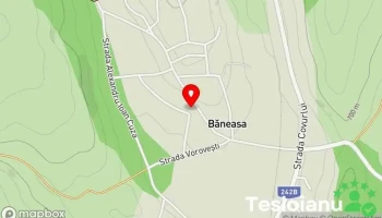 Băneasa - Băneasa