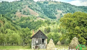 Băuțar - Băuțar