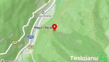 C.s.v. Măguri-răcătău - Com. Maguri Racatau, Cluj, 407365