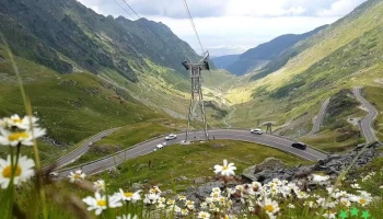 Cârțișoara - Cârțișoara