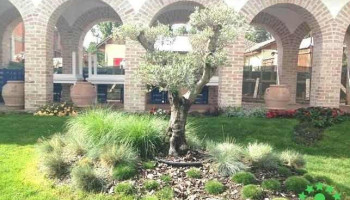 Casa Comana - Hotel - Restaurant - Comana