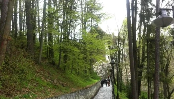 Castelul Bran - Bran