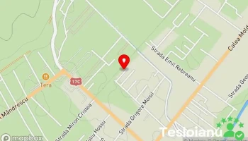 Castrol Service Activ Instal Alarm Srl - Bistrița 420008