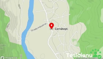 Cernătești - Cernătești