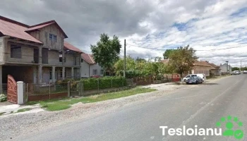 Certezanul S.r.l. - Halmeu 447145