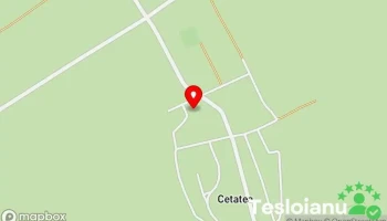 Cetatea - Cetatea