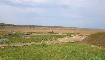 Cetatea geto-dacică de la Zimnicea - Zimnicea