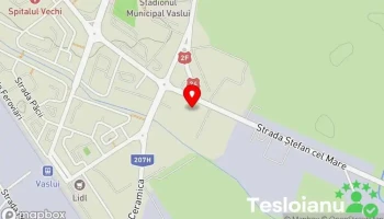 Check Ama Car - Vaslui 730187