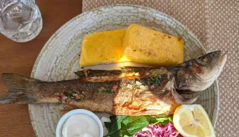 Cherhanaua Ovidiu - Ovidiu