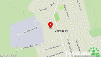 Chirnogeni - Chirnogeni