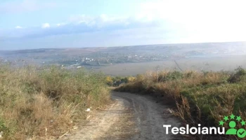 chiscareni iazu vechi - Chișcăreni 707486