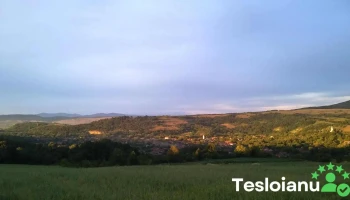 Chisindia - Chisindia
