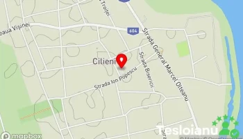 Cilieni - Cilieni