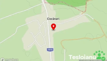 Ciocănari - Ciocănari