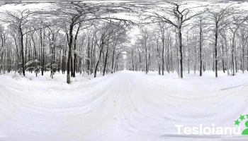 Ciocănești - Ciocănești