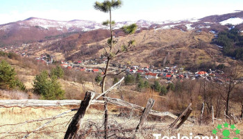 Cireșoaia - Cireșoaia