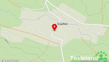 Ciuchici - Ciuchici