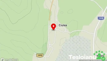 Ciulea - Ciulea