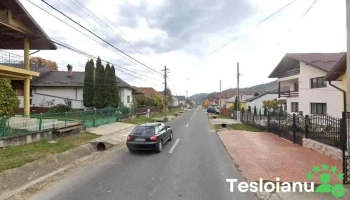 Clw - Lerești