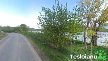 Cogiasca - Cogeasca 707282