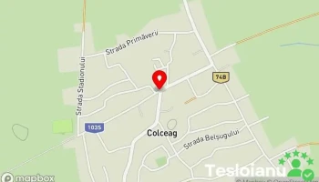 Colceag - Colceag