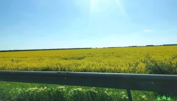 Comuna Blejoi - Romania